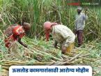 Sugarcane Workers Health : ऊसतोड कामगारांसाठी आरोग्याची कवच–कुंडलं; 'या' जिल्ह्यात तपासणी मोहीम वाचा सविस्तर - Marathi News | latest news Sugarcane Workers Health: Health shield for sugarcane workers; Check-up campaign in 'this' district Read in detail | Latest farming-ideas News at Lokmat.com