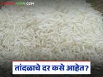 नवीन बासमतीसह मोगरा, कोलम, इंद्रायणी तांदळाचे दर कसे आहेत, जाणून घ्या सविस्तर  - Marathi News | Latest news see prices of Mogra, Kolam, Indrayani rice along with new Basmati, know in detail | Latest market-yard News at Lokmat.com