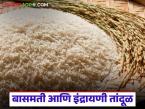 बासमती आणि इंद्रायणी तांदूळ कुठे पिकवला जातो, या दोन्हीत फरक काय, वाचा सविस्तर  - Marathi News | Latest news Basmati and Indrayani rice grown, what is difference between them, read in detail | Latest smart-farming News at Lokmat.com