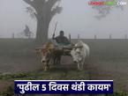 Cold Weather : पुढील 5 दिवस थंडीचे, महाराष्ट्रातील 'या' जिल्ह्यांत सर्वाधिक थंडी असणार - Marathi News | Latest news next 5 days will be cold weather 'these' districts of Maharashtra will be coldest | Latest weather News at Lokmat.com