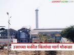 शेतकऱ्यांची उसाची बिलं मिळण्याचा मार्ग मोकळा; राज्यातील 'या' कारखान्यांना एनसीडीसीकडून कर्ज मंजुरी - Marathi News | Farmers' way to get sugarcane bills cleared; NCDC approves loans for 'these' factories in the state | Latest farming-ideas News at Lokmat.com
