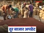 Tur Market : तुरीची आवक दुप्पट; हमीभाव मिळतोय काय? वाचा सविस्तर - Marathi News | latest news Tur Market: Tur arrivals double; Are we getting guaranteed prices? Read in detail | Latest market-yard News at Lokmat.com