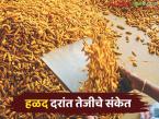 Halad Market : हळद बाजारात तेजीची चाहूल;'या' महिन्यांत दर वाढणार? - Marathi News | latest news Halad Market: Signs of a boom in the turmeric market; Will prices increase in 'these' months? | Latest market-yard News at Lokmat.com
