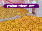 turmeric export : शेतकऱ्यांचा अभिमान! वसमतची हळद झाली आंतरराष्ट्रीय स्टार - Marathi News | latest news Turmeric export: Farmers' pride! Vasmat's turmeric has become an international star | Latest market-yard News at Lokmat.com