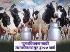 'दुग्धविकास'साठी छत्रपती संभाजीनगर जिल्ह्यातून अर्जांची आघाडी; किती शेतकऱ्यांना मिळणार दुधाळ गाई? - Marathi News | Applications from Chhatrapati Sambhajinagar district for 'Milk Development' are in high demand; How many farmers will get dairy cows? | Latest agri-business News at Lokmat.com