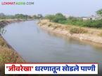 'जीवरेखा' धरणातून रब्बी हंगामासाठी सोडले पाणी; शेतकऱ्यांच्या रब्बी हंगामाच्या आशा पल्लवित - Marathi News | Water released from 'Jeeverekha' dam for Rabi season; Farmers' hopes for Rabi season revived | Latest weather News at Lokmat.com