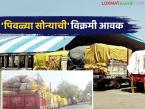 हिंगोली मार्केट यार्डात 'पिवळ्या सोन्याची' विक्रमी आवक; शेतकऱ्यांना समाधानकारक भावाची अपेक्षा - Marathi News | Record arrival of 'yellow gold' at Hingoli market yard; Farmers expect satisfactory prices | Latest market-yard News at Lokmat.com