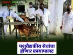 मराठवाड्याच्या 'या' जिल्ह्यातील १२३ पशुवैद्यकीय दवाखाने झाले 'अ' दर्जाचे; आधुनिक सुविधेसह होणार कायापालट - Marathi News | 123 veterinary clinics in 'Ya' district of Marathwada have been upgraded to 'A' grade; will be transformed with modern facilities | Latest agri-business News at Lokmat.com