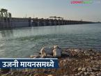 उजनी धरणातील उपयुक्त पाणीसाठा संपला, धरण मायनसमध्ये; अजून किती दिवस पुरणार पाणी? - Marathi News | The usable water storage in Ujani Dam has run out, the dam is in minus; how many more days will the water be sufficient? | Latest weather News at Lokmat.com