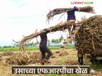 महागाईमुळे ऊस उत्पादन खर्च वाढला; केंद्र सरकारने जाहीर केलेली एफआरपी परवडणार का? - Marathi News | Sugarcane production costs have increased due to inflation; Will the FRP announced by the central government be affordable? | Latest farming-ideas News at Lokmat.com