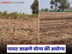 ऊस तुटून गेल्यावर पाचट जाळण्यापेक्षा त्यावर 'ही' प्रक्रिया करून बघा; होतील असंख्य फायदे - Marathi News | Instead of burning the sugarcane after it is broken, try this process; there will be numerous benefits | Latest smart-farming News at Lokmat.com