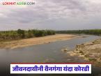 दुथडी भरून वाहणारी, पाण्याचा प्रवाह कायम असणारी वैनगंगा यंदा मे महिन्यातच कोरडी - Marathi News | The Wainganga, which used to flow in two directions and has a constant flow of water, dried up in May this year. | Latest weather News at Lokmat.com