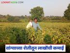 Farmer Success Story : जिद्द, नियोजन आणि मेहनत; १ एकर वांग्यातून ९ लाखांची कमाई वाचा सविस्तर - Marathi News | latest news Farmer Success Story: Perseverance, planning and hard work; Earning Rs 9 lakhs from 1 acre of brinjal Read in detail | Latest success-story News at Lokmat.com