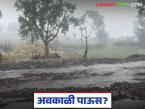 Maharashtra Weather Update : राज्यात हवामानाचं गणित बिघडलं; थंडी की पाऊस? वाचा सविस्तर - Marathi News | latest news Maharashtra Weather Update : Weather math in the state has gone wrong; Cold or rain? Read in detail | Latest weather News at Lokmat.com