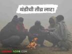 Cold Wave Alert : राज्यात तीव्र थंडीची लाट; IMD ने जारी केला अलर्ट वाचा सविस्तर - Marathi News | latest news Cold Wave Alert: Severe cold wave in the state; IMD issues alert, read in detail | Latest weather News at Lokmat.com