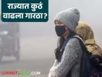 Maharashtra Weather Update : काश्मीरची थंडी महाराष्ट्रात; कुठं वाढला गारठा? वाचा सविस्तर - Marathi News | latest news Maharashtra Weather Update: Kashmiri cold in Maharashtra; Where has the cold increased? Read in detail | Latest weather News at Lokmat.com