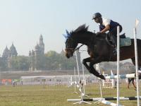 कोल्हापूर : शाही थाटात ‘घोेडेस्वारी’ स्पर्धेची सुरुवात - Marathi News | Kolhapur: The start of 'Ghode Sawari' competition in Shahi Thatcha | Latest kolhapur Photos at Lokmat.com