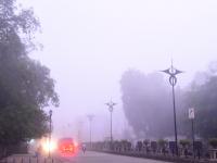 ही धुरक्यात बुडालेली दिल्ली नाही, धुक्यात हरवलेले नाशिक आहे... - Marathi News | This is not polluted smoggy Delhi, It's a foggy Nashik | Latest nashik Photos at Lokmat.com