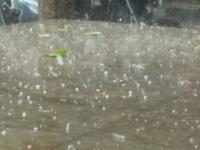 कोल्हापूरात वादळी वाऱ्यासह गारांचा जोरदार पाऊस - Marathi News | Heavy rains accompanied by windy winds in Kolhapur | Latest kolhapur Photos at Lokmat.com