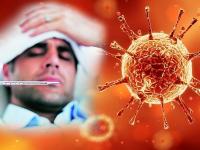 Coronavirus: गरमीच्या दिवसात कोरोना व्हायरस मरतो? जाणून घ्या सत्य! ICMR ने केलं स्पष्ट - Marathi News | Coronavirus: Corona Virus End In Summer Whether In India? Know the truth! ICMR made it clear Pnm | Latest national Photos at Lokmat.com