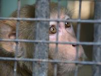 वेळ झाली भर मध्यान्ह.. माथ्यावर तळपे ऊन... - Marathi News | The time has passed and the midday ... | Latest nagpur Photos at Lokmat.com