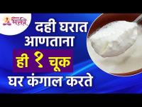 दही घरात आणताना ही एक चूक केली तर घर कंगाल होते का? Vastushastra tips for home | Curd | Dahi Mahiti