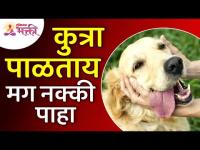 पाळीव कुत्र्याबद्दल महत्वपूर्ण माहिती | Important information about pet dogs | Facts about Pet Dogs