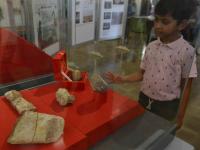 डायनासोरचे जीवाश्म पाहण्यासाठी मुंबईकरांची गर्दी - Marathi News | Mumbai's crowd to see dinosaur fossils | Latest mumbai Photos at Lokmat.com