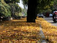 सुरू झाला विदर्भातला उन्हाळा.. - Marathi News |  Summer begins in Vidarbha | Latest nagpur Photos at Lokmat.com