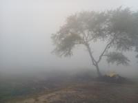 धुक्यात हरवली सांगली, सकाळी सकाळी धुक्याची चादर - Marathi News | Sangli lost in fog, fog sheet in the morning | Latest sangli Photos at Lokmat.com