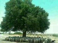 उन्हाळ्यातला आनंद... - Marathi News | Summer fun ... | Latest nagpur Photos at Lokmat.com