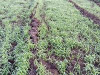 कडाक्याच्या थंडीने गारठले नाशिककर... छायाचित्रे : प्रशांत खरोटे, नीलेश तांबे - Marathi News |  Striking cold weather in Nashik ... Photos: Prashant Khorate, Nilesh Tambe | Latest nashik Photos at Lokmat.com