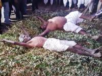 स्वत:ला पांडवांचे वंशज मानतात हे लोक; काटेरी फांद्यांवर झोपून देतात परीक्षा, कारण.... - Marathi News | Thorn razard samaj people pandava jungle story thirsty jungle | Latest jarahatke Photos at Lokmat.com