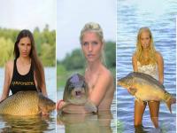 तरूणींनी माश्यांसोबत केलं बोल्ड न्यूड फोटोशूट, बघून लोकांची बोलती बंद... - Marathi News | Model strange photoshoot with fish photos viral people says is it a mermaid | Latest jarahatke Photos at Lokmat.com