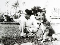 पुण्यतिथी विशेष: दिवंगत बाळासाहेब ठाकरेंचे २० फोटो जे तुम्ही यापूर्वी कधीही पाहिलेले नाहीत; पाहा फोटो - Marathi News | 20 photos of the late Balasaheb Thackeray that you have never seen before; See the photo | Latest politics Photos at Lokmat.com