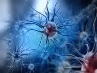 33 types of virus discovered frozen in over 14,000-year-old ice - News | 33 types of virus discovered frozen in over 14,000-year-old ice | Latest international Photos at Lokmattimes.com