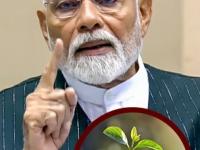 आनंदाची बातमी! सुकन्या, PPF सह अल्प बचत योजनांसंदर्भात मोदी सरकारचा मोठा निर्णय; पटा-पट चेक करा लेटेस्ट व्याज दर! - Marathi News | Good news Narendra Modi government's big decision regarding small savings schemes including Sukanya, PPF; Check the latest interest rates frequently! | Latest business Photos at Lokmat.com