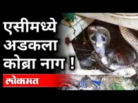 'एसीमध्ये अडकला कोब्रा नाग !' Cobra snake stuck in AC at Kalyan | Viral News Kalyan