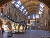 लंडनमधील 'या' म्यूझिअमच्या तळघरात ठेवलाय अमूल्य खजिना - Marathi News | Museum of london where very strange kind of treasure kept in its basement | Latest jarahatke Photos at Lokmat.com