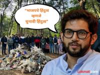 Aaditya Thackeray : "भाजपराज म्हणजे जंगलराज, झाडं तोडणारे रावण; तपोवनाचा मुद्दा मनपा निवडणुकीत तापवा" - Marathi News | Nashik Municipal Corporation Election Aaditya Thackeray Slams BJP Over nashik tapovan tree cutting | Latest nashik News at Lokmat.com