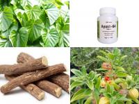 CoronaVirus : आयुष मंत्रालयाकडून चार आयुर्वेदिक औषधांची चाचणी, कोरोनाविरोधात ठरू शकतात निर्णायक - Marathi News | coronavirus ministry of ayush is going for trial for corona medicine vrd | Latest national Photos at Lokmat.com