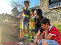 लग्नाचा वाढदिवस अन् नवऱ्याने दिले घटस्फोटाचे पेपर्स, अभिनेत्रीला पोटच्या लेकारांनाही भेटता येईना, दु:ख व्यक्त करत म्हणाली... - Marathi News | bollywood actress celina jaitley revelation about husband peter haag served divorce paper in wedding anniversary says | Latest filmy News at Lokmat.com