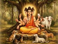 Adhik Maas 2026: अधिक मासात संकटमुक्तीसाठी करा 'ही' दत्तसेवा; मिळेल श्री दत्तगुरूंचा अखंड आशीर्वाद! - Marathi News | Adhik Maas 2026: Do 'this' Datta Seva for relief from troubles in the month of Adhik Maas; You will receive the continuous blessings of Shri Datta Guru! | Latest bhakti News at Lokmat.com Adhik Maas 2026: अधिक मासात संकटमुक्तीसाठी करा 'ही' दत्तसेवा; मिळेल श्री दत्तगुरूंचा अखंड आशीर्वाद! - Marathi News | Adhik Maas 2026: Do 'this' Datta Seva for relief from troubles in the month of Adhik Maas; You will receive the continuous blessings of Shri Datta Guru! | Latest bhakti News at Lokmat.com