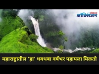 महाराष्ट्रातील 'हा' धबधबा वर्षभर पहायला मिळतो I Top 5 waterfalls near Mumbai I Chinaman I Vajra