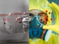 अमेरिकेविरोधात ड्रॅगनचं खतरनाक षडयंत्र, २ चिनी वैज्ञानिकांना पकडलं; काय आहे 'Agro Terrorism'? - Marathi News | Agro Terrorism: Two Chinese nationals have been charged with allegedly smuggling into the U.S. a fungus called "Fusarium graminearum | Latest international Photos at Lokmat.com