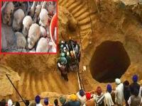Punjab Ajnala: विहिरीत सापडलेल्या 160 वर्षे जुन्या सांगाड्यांचे रहस्य उलगडले, धक्कादायक माहिती आली समोर... - Marathi News | Punjab Ajnala: 160 year old human skeletons found in Punjab's Ajnala belonged to martyrs of Ganga plain | Latest national Photos at Lokmat.com