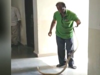 बापरे बाप..! इंजिनियरिंग कॉलेजच्या वॉशरुममध्ये सापडला ८ फुटांचा साप