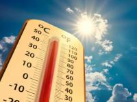 अकोला, वर्धा देशात सर्वाधिक ‘हॉट’; पार ४५ अंश सेल्सिअसवर पारा - Marathi News | Akola, Wardha hottest in the country; mercury at 45 degrees Celsius | Latest akola News at Lokmat.com