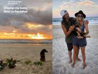 Shocking : ऑलिम्पिकपटूचा समुद्रात बुडून मृत्यू; मालकाच्या प्रतिक्षेत कुत्रा किनाऱ्यावर बसून! - Marathi News | Tragic Olympic star Alex Pullin’s heartbroken dog waits by poignant tribute on beach where 32-year-old drowned | Latest other-sports Photos at Lokmat.com