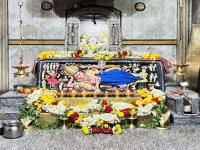 २०२५ची शेवटची पुत्रदा एकादशी: कसे कराल व्रतपूजन?; ‘या’ गोष्टी आवर्जून करा, पुण्य-लाभ मिळेल! - Marathi News | pausha putrada smarta bhagwat ekadashi december 2025 date know about vrat puja vidhi significance of 2025 last putrada ekadashi in marathi | Latest bhakti News at Lokmat.com